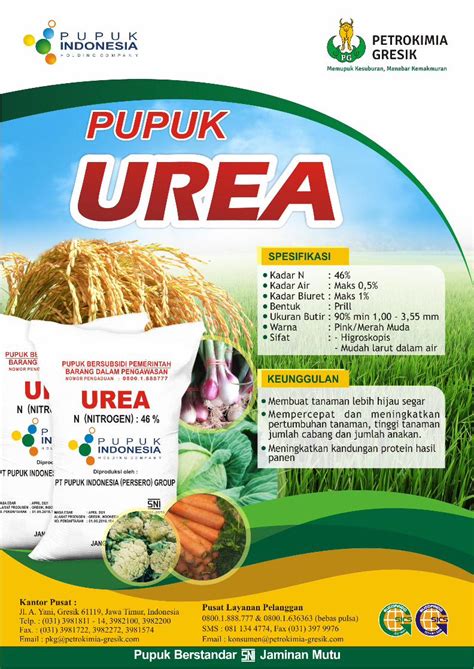 Pdf Urea Pdf Ubi Kayu Pakai Pupuk Npk Dasar Waktu Aplikasi Dan