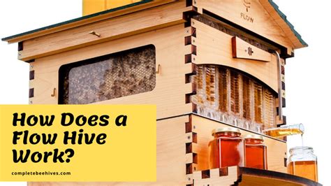 How Does A Flow Hive© Work Complete Beehives