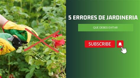 Errores De Jardiner A Que Debes Evitar Jardin Flowers Plantas