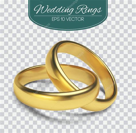 Gold vector wedding rings isolated on trasparent background. Vector ...