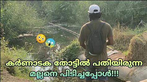 കർണാടക തോട്ടിൽ പതിയിരുന്ന മല്ലനെ പിടിച്ചപ്പോൾ😳😱kerala Fishingdeepu