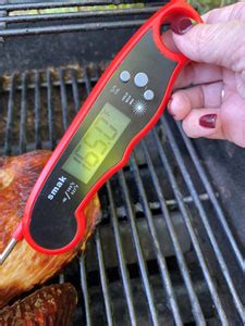 where to put a meat thermometer in a turkey - DeKookGuide