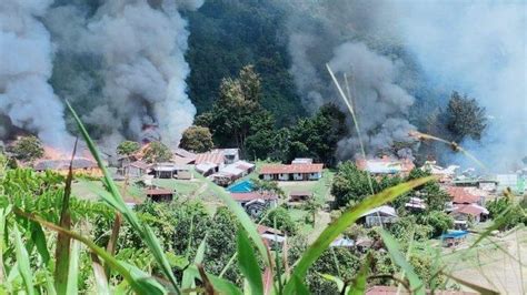 Kronologi Baku Tembak Kkb Papua Dengan Tni Hingga Prajurit Tertembak