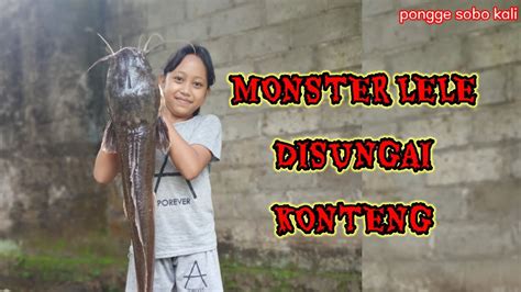 MANCING LELE DUMBO BESAR DISUNGAI KONTENG YouTube