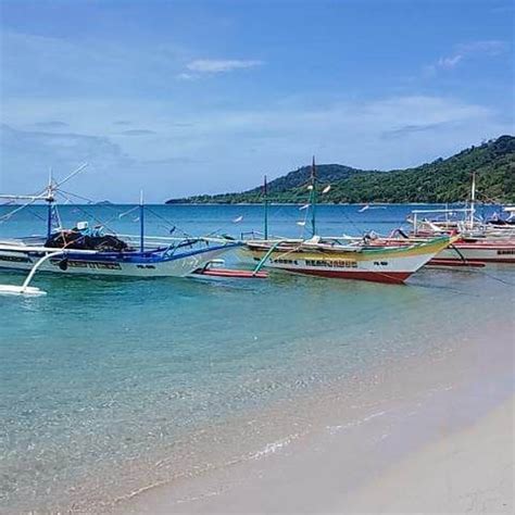 3.15 hectares Beach Property For Sale in San Vicente Palawan [Beach ...