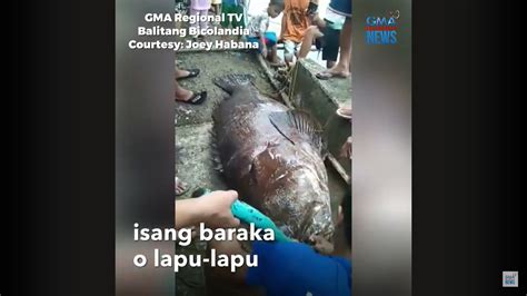 Mga turistang nahuling nameke ng RT-PCR test para makapasok sa Boracay ...