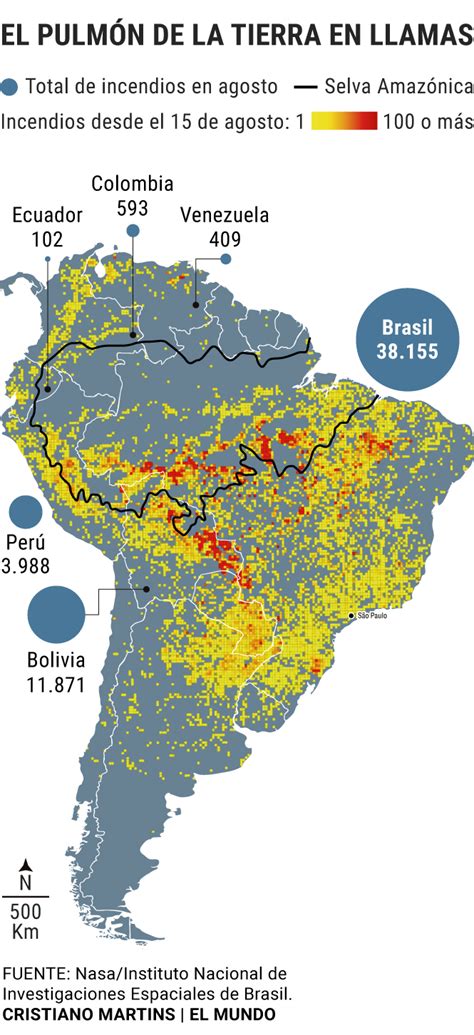 Incendios En El Amazonas Jair Bolsonaro Insinúa Que Las Ong Pueden