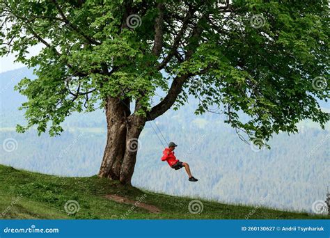 A Child Rides On A Swing High In The Mountains A Tree And A Swing