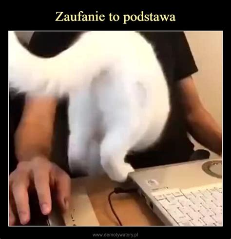 Zaufanie To Podstawa Demotywatory Pl