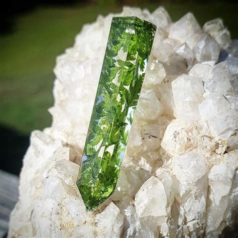 My First Successful Casting Real Fern Encased In Resin And Molded Into A Dildo R