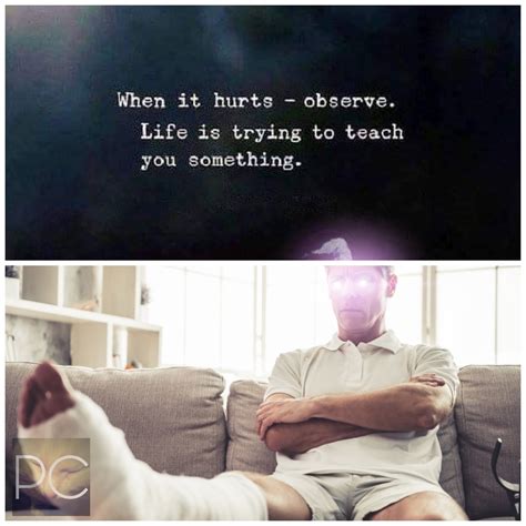 observes intensely meme  pussyclogger memedroid