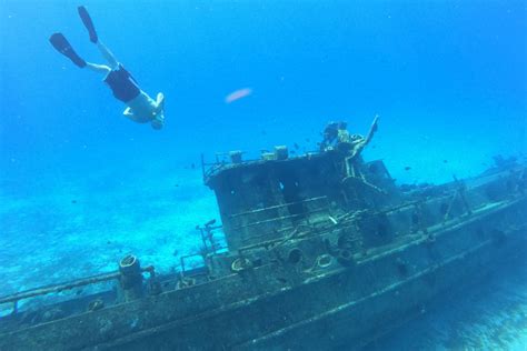 Cozumel Snorkeling Guide for December 2023 | Island Life Mexico