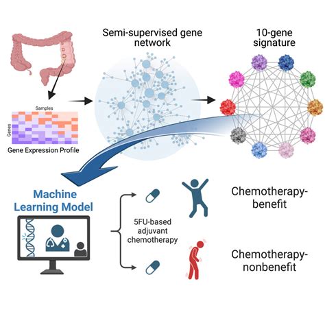 Discovery And Validation Of A 10 Gene Predictive Signature For Response