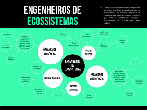 Mapa Mental Engenheiros De Ecossistema Pdf Ecossistema Ambiente Natural