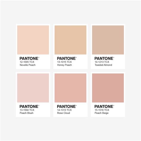 Tumblr Pantone Color Blush Color Color Hot Sex Picture