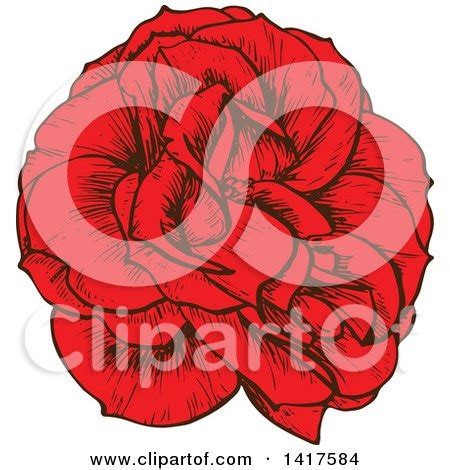 Clipart Of A Sketched Red Rose Flower Royalty Free Vector