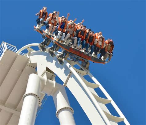 Gardaland Park And SEA LIFE Open Date Entry Ticket GetYourGuide