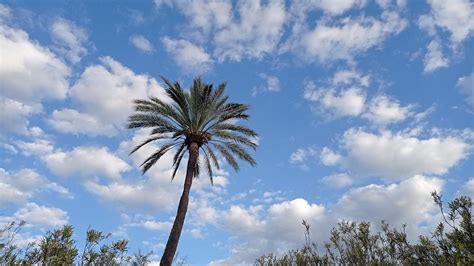 El Tiempo Aemet C Rdoba La Borrasca Aitor Pasa Por C Rdoba Sin Pena