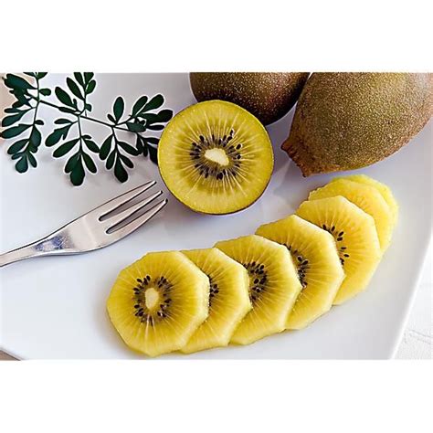 Kiwi Actinidia Deliciosa Femelle Golden Kiwi Graines Baumaux