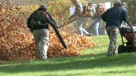 Fall Cleanup And Leaf Removal In Oak Ridge NJ