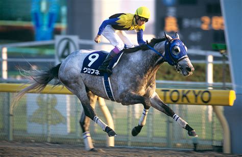 クロフネ｜名馬メモリアル｜競馬情報ならjra Van