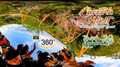 VR 360 5K Cheetah Hunt Roller Coaster At Sunset On Ride POV Busch