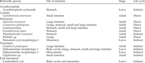 Site Of Infection Stage And Life Cycle Of The Helminth Parasites Of