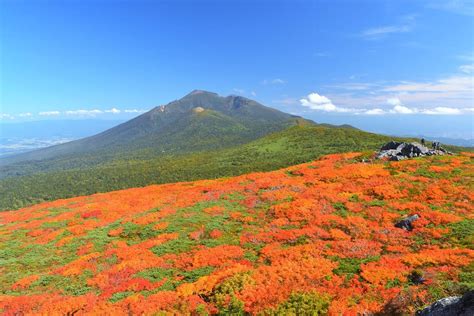 9月に見頃のお勧め紅葉登山 錦秋の絶景へ 今日という日を忘れずに