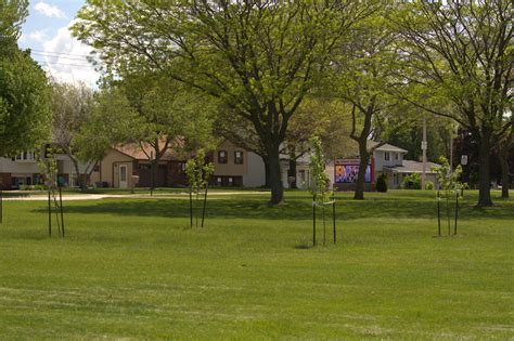 Community Orchards — New Leaf Foods