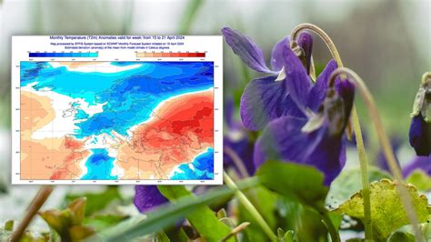 Pogoda Na Maj Wk D Ugoterminowa Prognoza Na Maj Wk Tvn Meteo