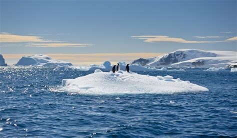 El Hielo Marino De La Antártida Se Redujo Hasta La Menor Superficie De Su Historia History