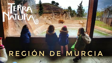 Descubrir 67 Imagen Entradas Terra Natura Murcia Abzlocalmx