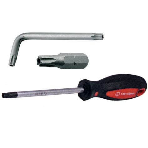 torx screw insight security