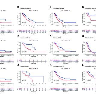 Identification Of The Relationship Between Tp Somatic Mutation And