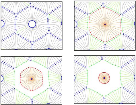 Apoptosis. The structure and morphology of apoptotic cells undergo ...