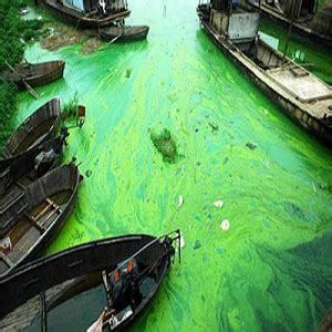 Top Most Polluted Rivers In The World