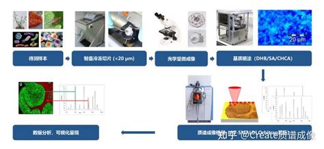 Create质谱成像FAQ 看完这篇FAQ秒懂MALDI质谱成像 知乎