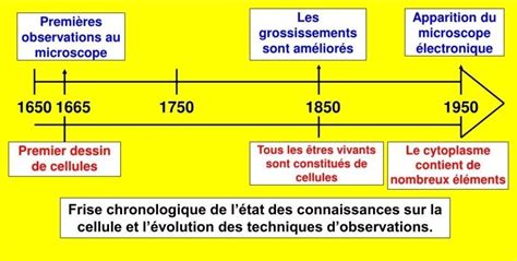 Pouvez Vous M Aider Faire Une Frise Chronologique Avec Les Cellules