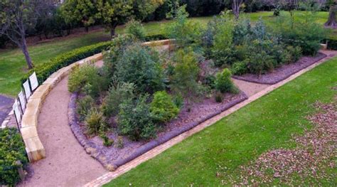 small  mighty tiny forests hort journal australia