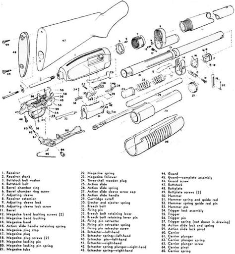 Step By Step Guide To Disassembling A Winchester Model 12 Shotgun