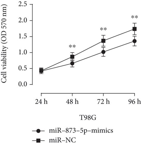 Mir P Expression In Cells And Its Biological Function To Cells A