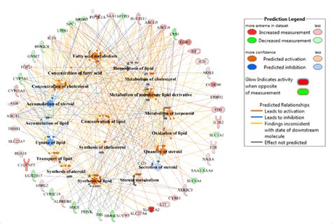 6 Lipid Metabolism Gene And Molecular Processes Interaction Network Download Scientific