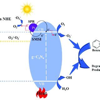 Scheme The Mechanism Of Photothermal Catalytic Reaction By Pda