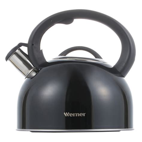 Чайник для кипячения воды Werner Revere 51097 2,5 л - купить в Москве в ...