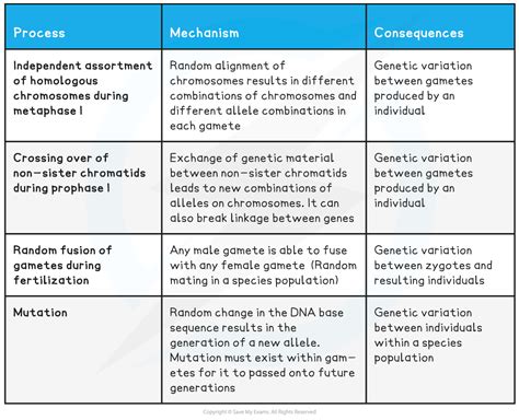 CIE A Level Biology复习笔记17 1 1 Variation Phenotype 翰林国际教育