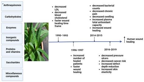 The Therapeutic Wound Healing Bioactivities of Various Medicinal Plants