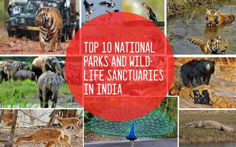 Top 10 Wildlife Sanctuary In India