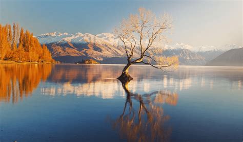 Book New Zealand Packages From Dubai Travel To New Zealand