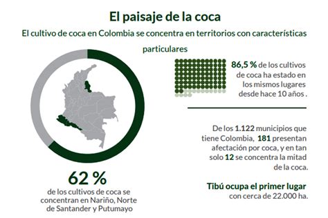 Cultivos De Coca En Colombia Aumentaron En Noticias Y Respuestas