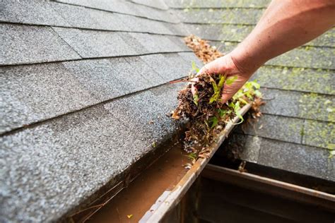 Diy Gutter Cleaning Shop Vac At Bessie Collins Blog